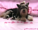 Olivia mit ihren beiden Babys an der Milchbar