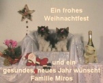 Unser schnes Weihnachtsgeschenk