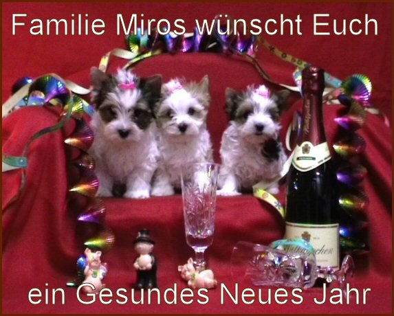 An den Beitrag angehängtes Bild: http://www.hundezucht-miros.de/Neujahr2012GB.jpg
