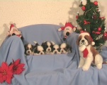Amazonias Babys warten schon gespannt auf die Geschenke