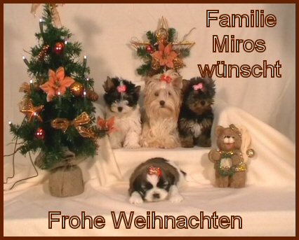 An den Beitrag angehängtes Bild: http://www.hundezucht-miros.de/Weihnachten2009GB.jpg